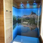 Alpina ***s Hotel
