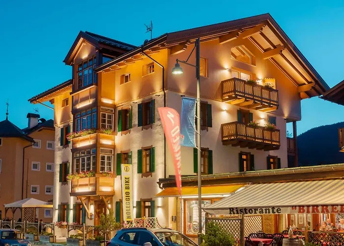 Alpina ***s Hotell 3*