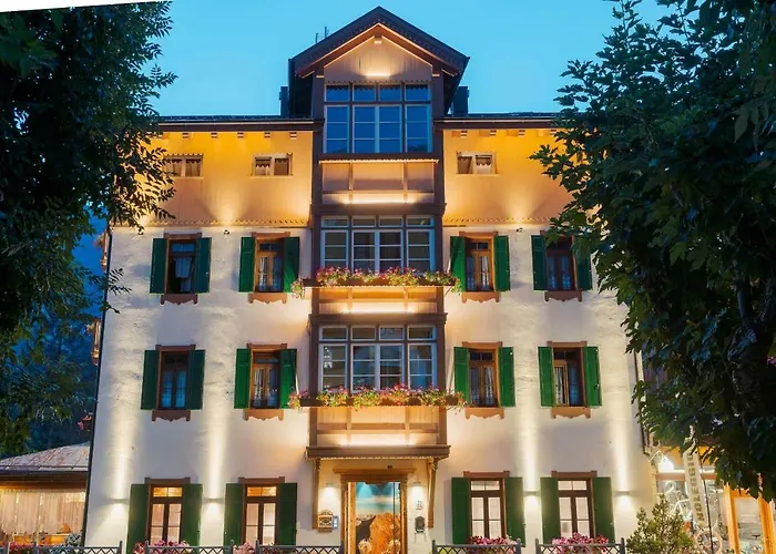 Alpina ***s Hotell