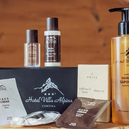 Alpina ***s 酒店 科尔蒂纳丹佩佐