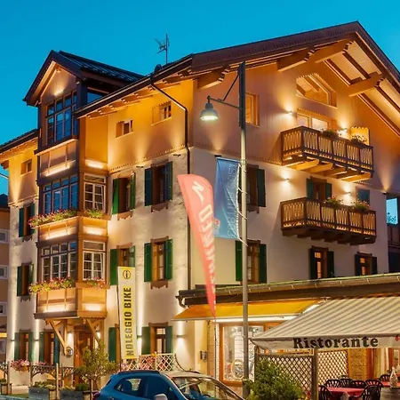 Alpina ***s Hotel 3*
