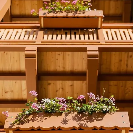 Alpina ***s 酒店 科尔蒂纳丹佩佐